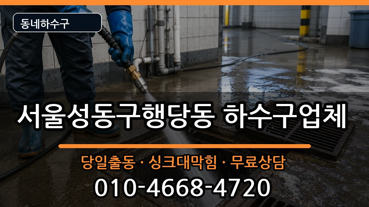 서울성동구행당동 하수구막힘 증상 처리 안내 이미지 3