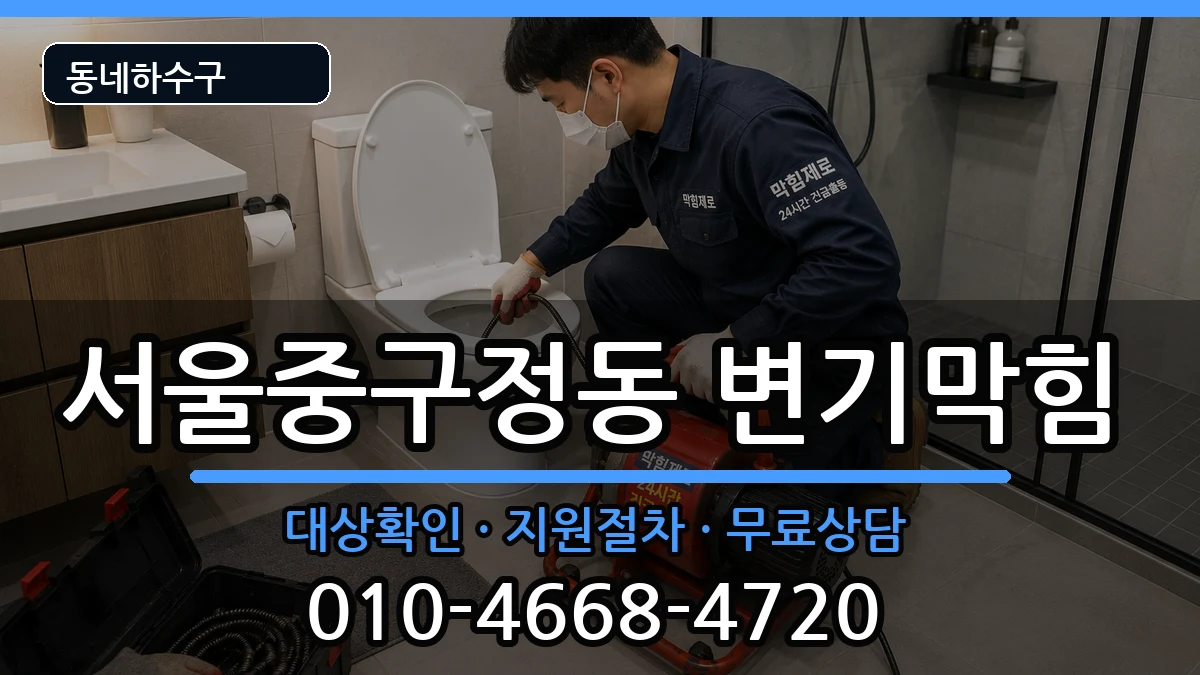서울중구정동 변기막힘 증상 처리 안내 이미지 1
