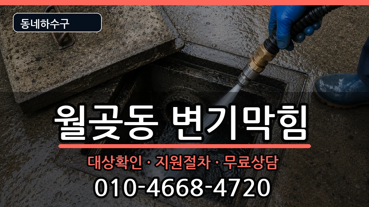 경기시흥시월곶동 변기막힘 증상 처리 안내 이미지 3