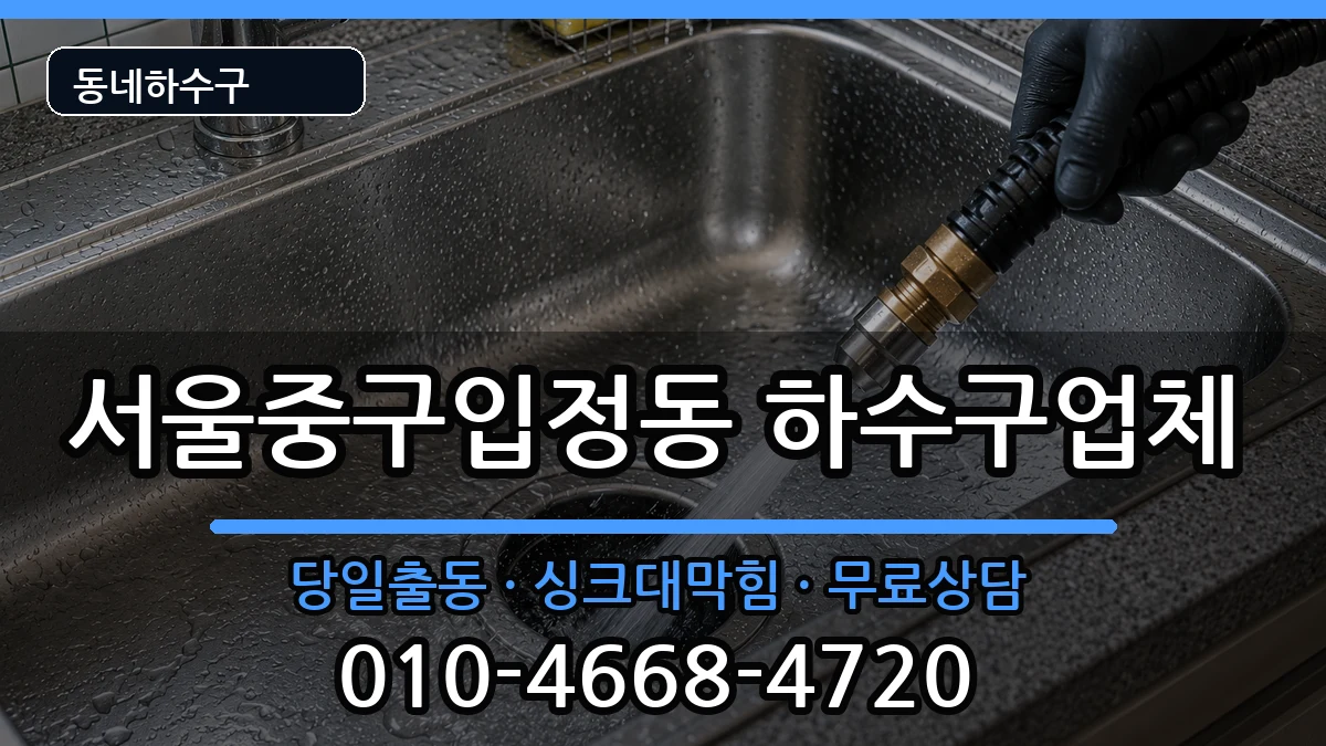 서울중구입정동 하수구막힘 증상 처리 안내 이미지 2