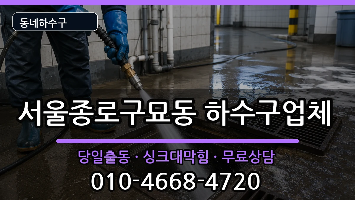 서울종로구묘동 하수구막힘 서울종로구묘동 하수구막힘 증상 처리 안내 이미지 1