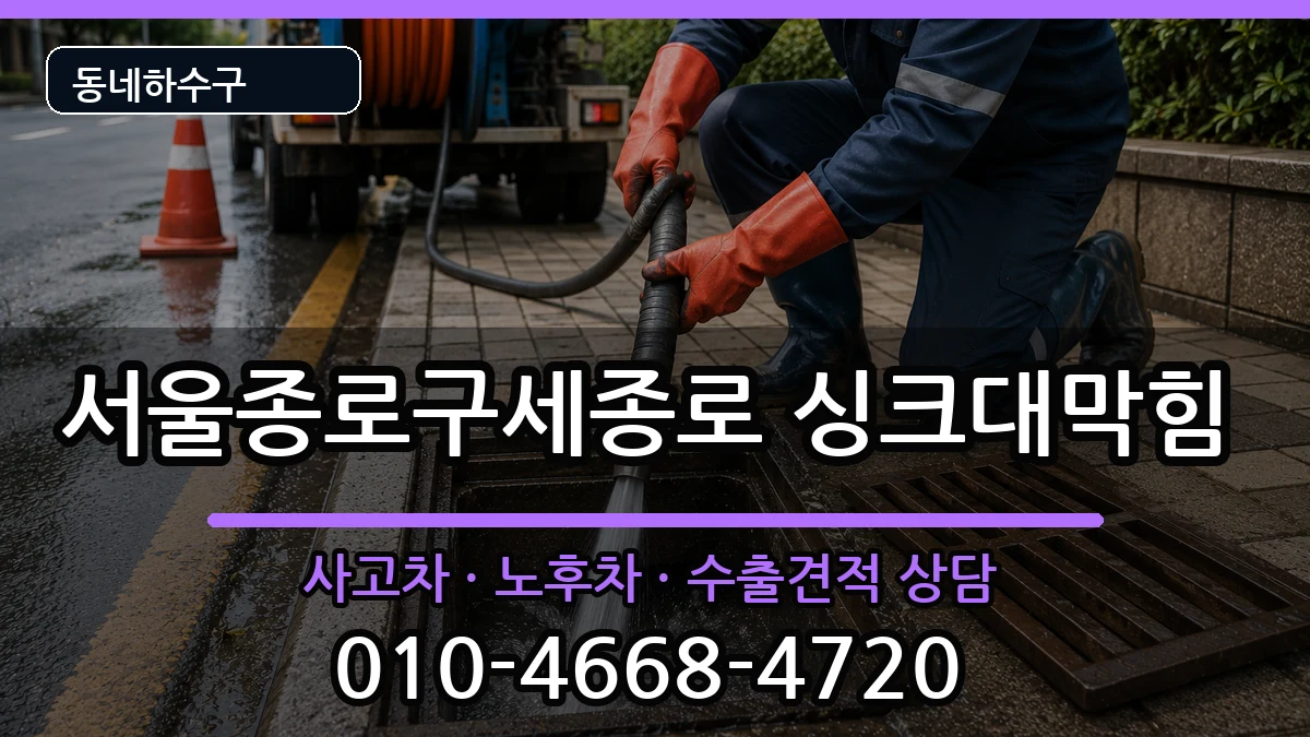 서울종로구세종로 싱크대막힘 증상 처리 안내 이미지 2