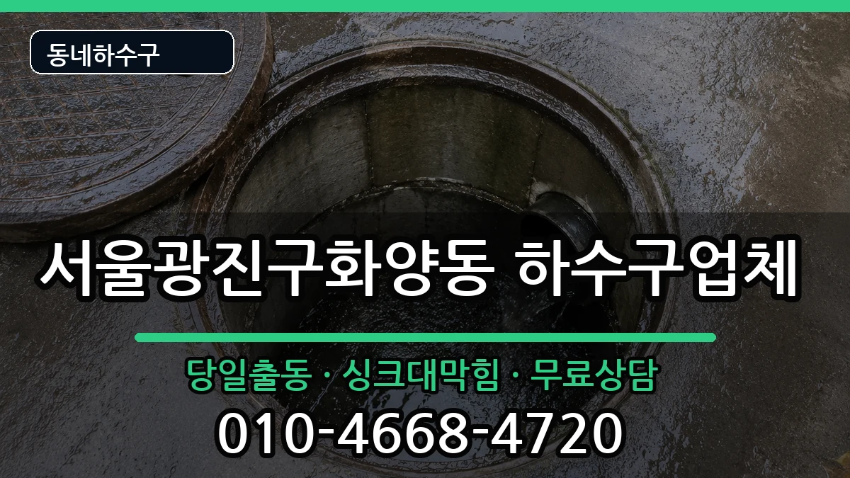 서울광진구화양동 하수구막힘 증상 처리 안내 이미지 3