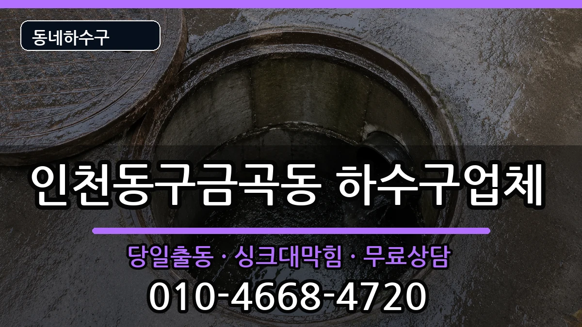 인천동구금곡동  하수구막힘 FAQ형