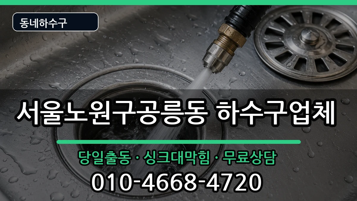 서울노원구공릉동 하수구막힘 증상 처리 안내 이미지 3