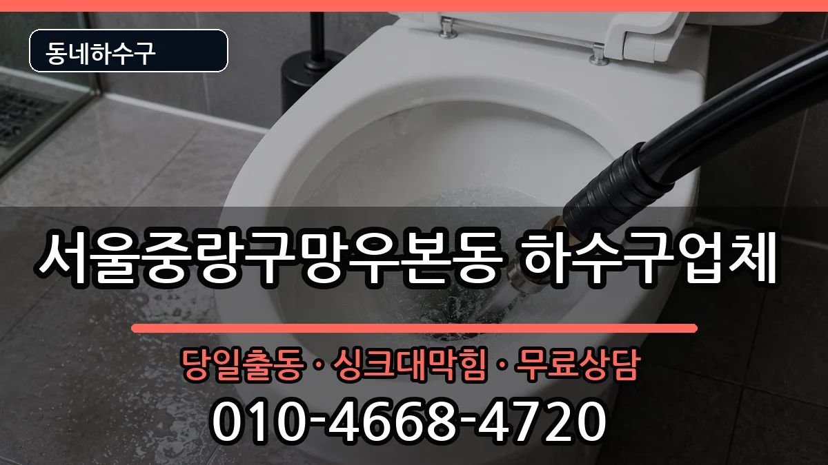 서울중랑구망우본동 하수구막힘 서울중랑구망우본동 하수구막힘 증상 처리 안내 이미지 2