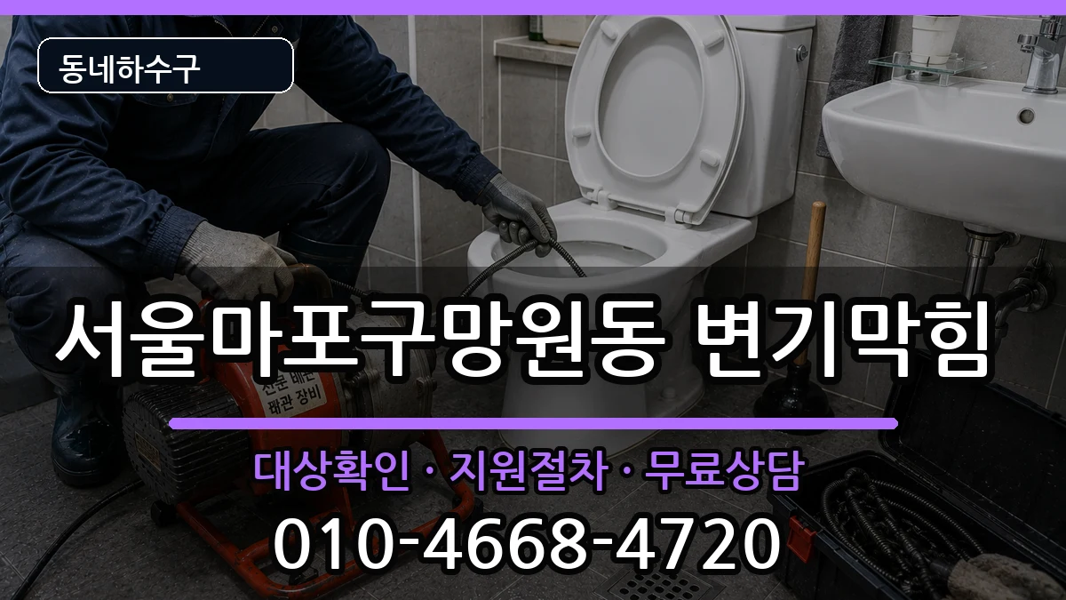 서울마포구망원동 변기막힘 증상 처리 안내 이미지 2