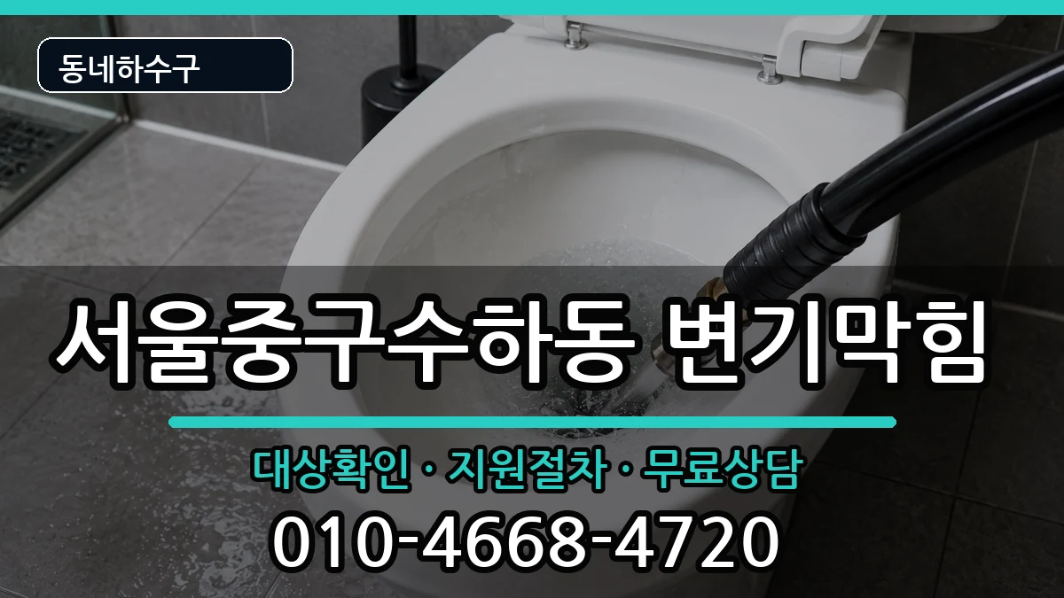 서울중구수하동 변기막힘 서울중구수하동 변기막힘 증상 처리 안내 이미지 2