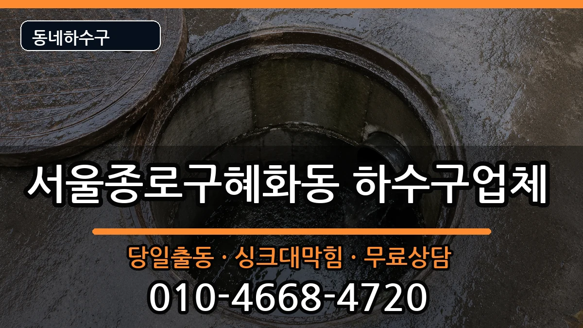 서울종로구혜화동 하수구막힘 증상 처리 안내 이미지 2