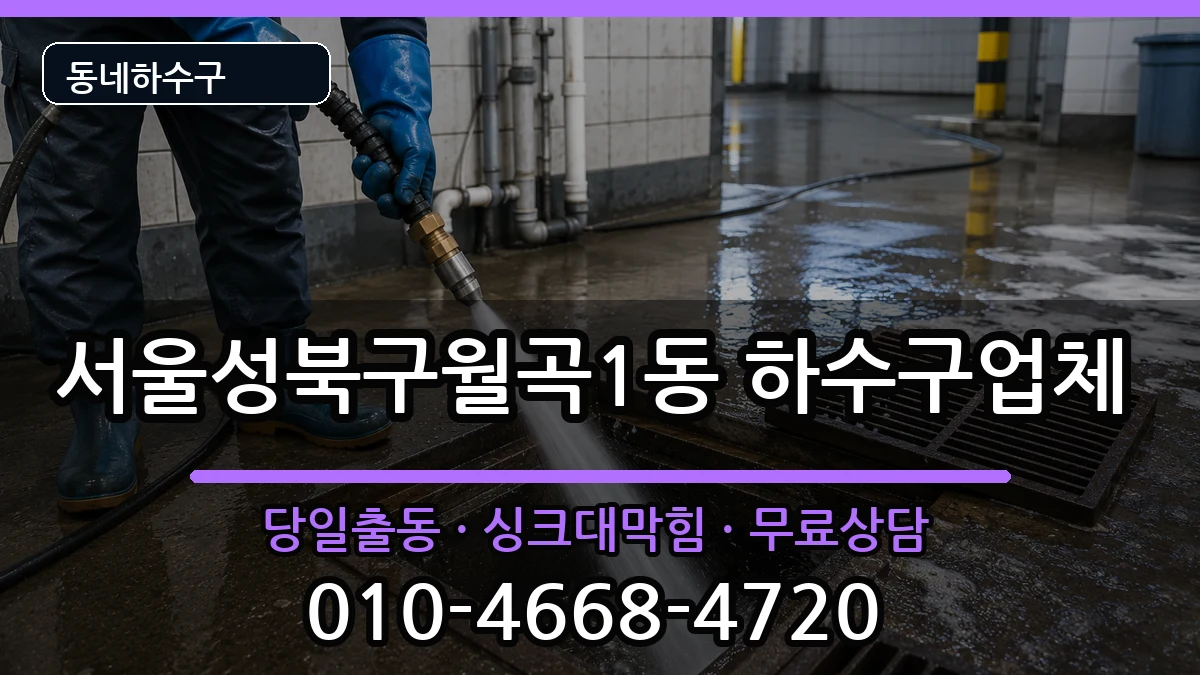 서울성북구월곡1동 하수구막힘 증상 처리 안내 이미지 2