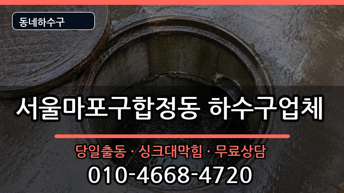 서울마포구합정동 하수구막힘 증상 처리 안내 이미지 1