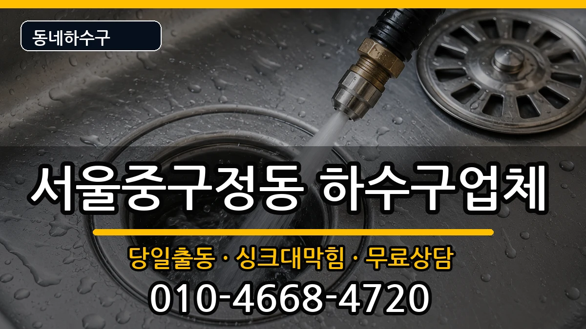 서울중구정동 하수구막힘 증상 처리 안내 이미지 1
