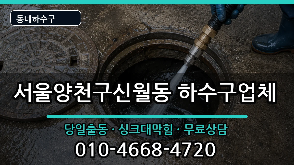서울양천구신월동 하수구막힘 증상 처리 안내 이미지 1