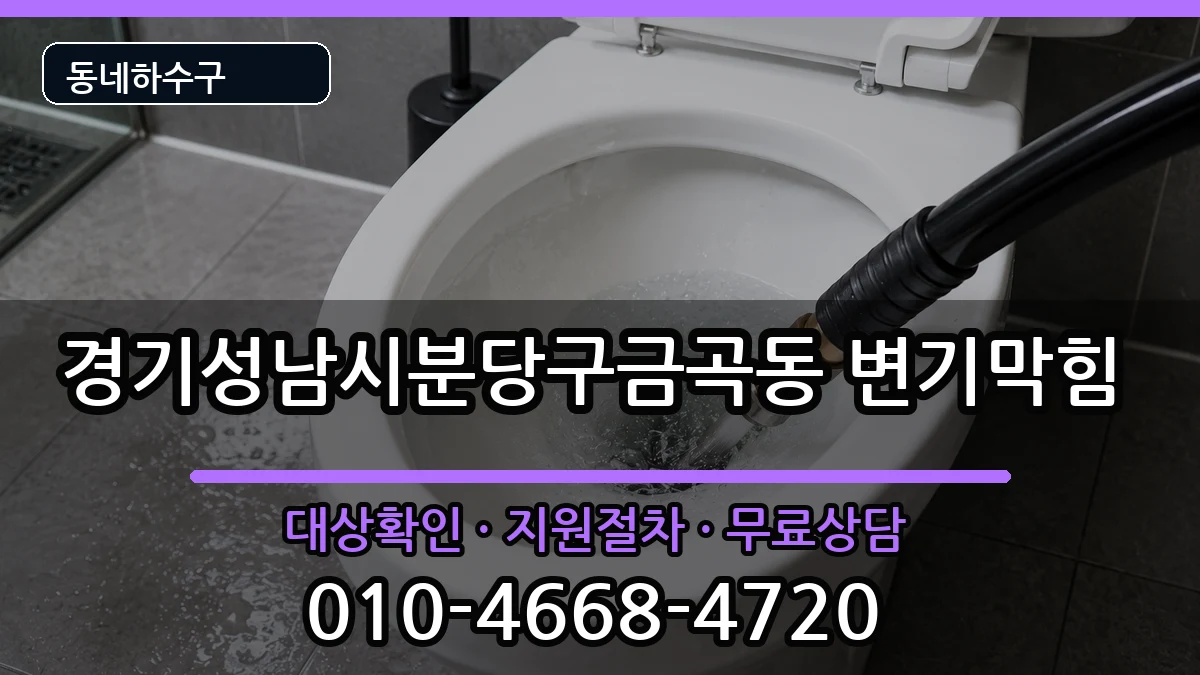 경기성남시분당구금곡동 변기막힘 경기성남시분당구금곡동 변기막힘 증상 처리 안내 이미지 2