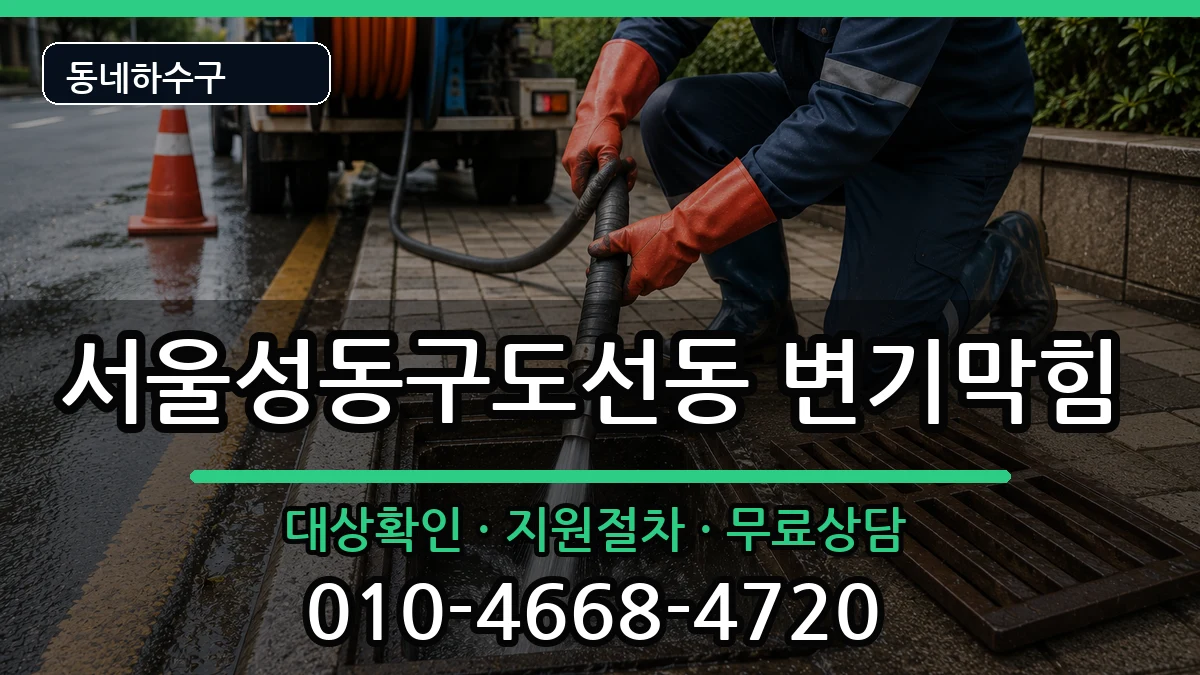 서울성동구도선동 변기막힘 증상 처리 안내 이미지 3