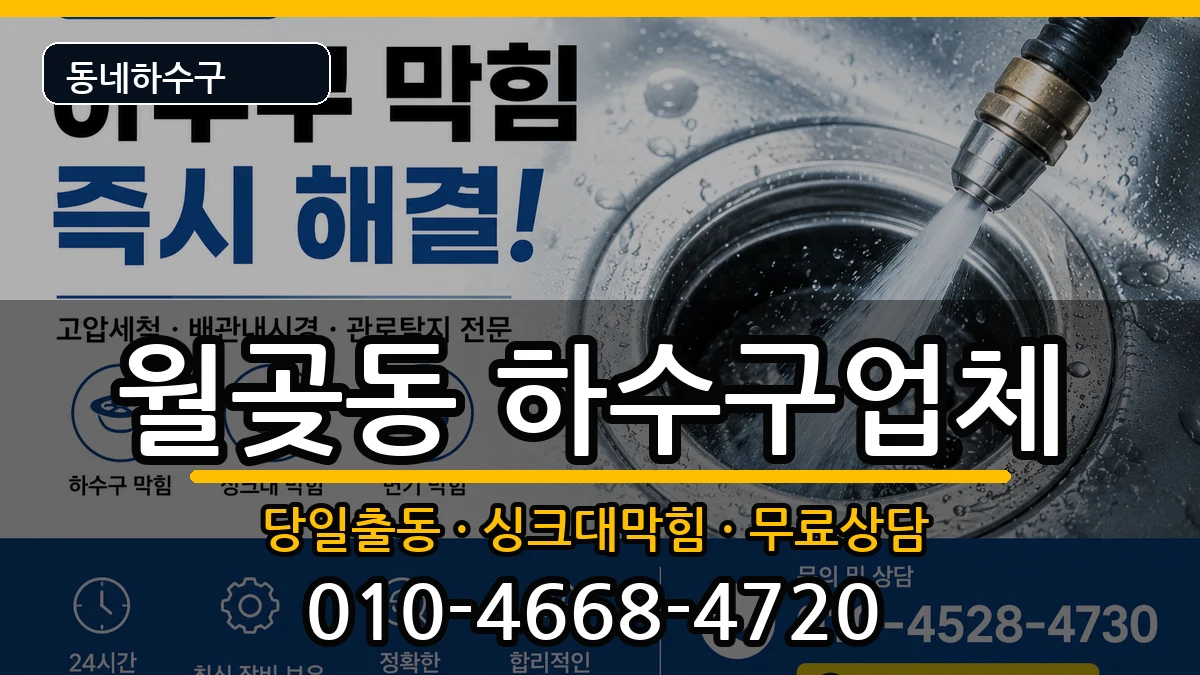 경기시흥시월곶동 하수구막힘 경기시흥시월곶동 하수구막힘 증상 처리 안내 이미지 3