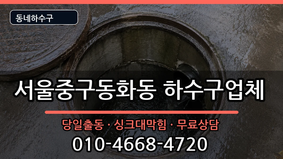 서울중구동화동 하수구막힘 서울중구동화동 하수구막힘 증상 처리 안내 이미지 1