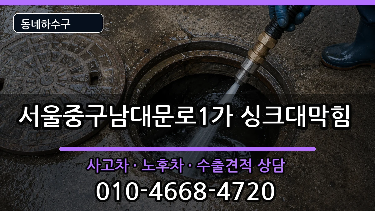 서울중구남대문로1가 싱크대막힘 서울중구남대문로1가 싱크대막힘 증상 처리 안내 이미지 2