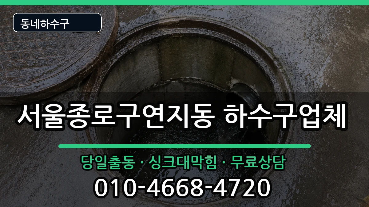 서울종로구연지동 하수구막힘 증상 처리 안내 이미지 2