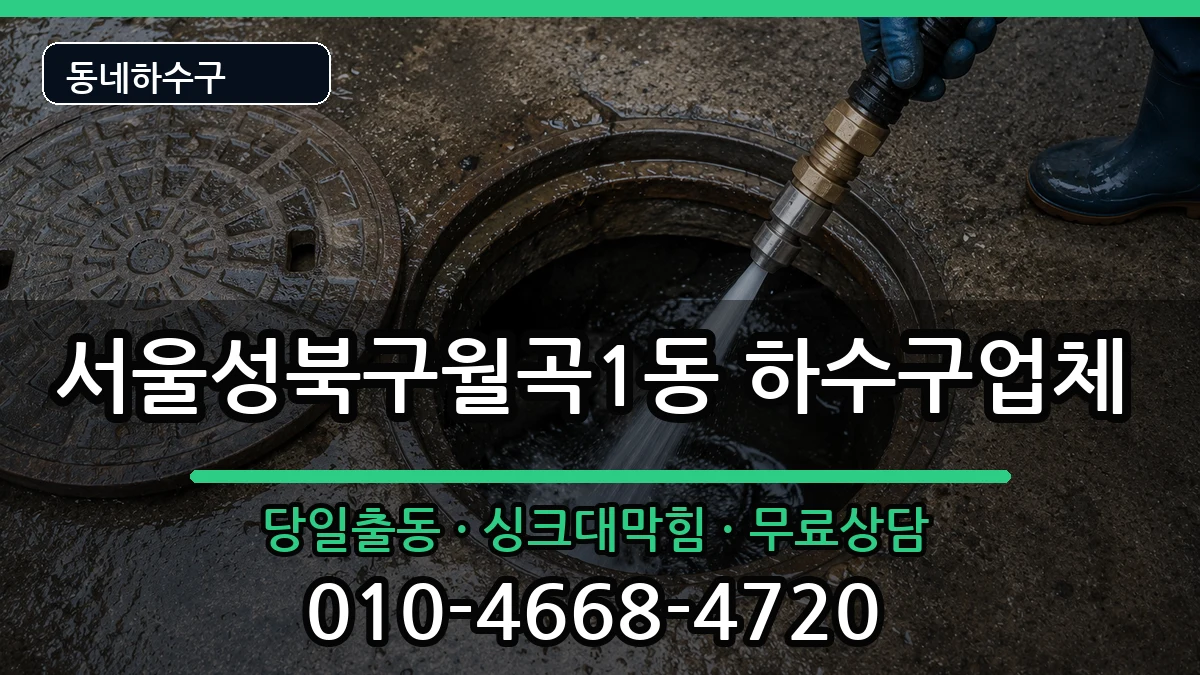 서울성북구월곡1동 하수구막힘 증상 처리 안내 이미지 2