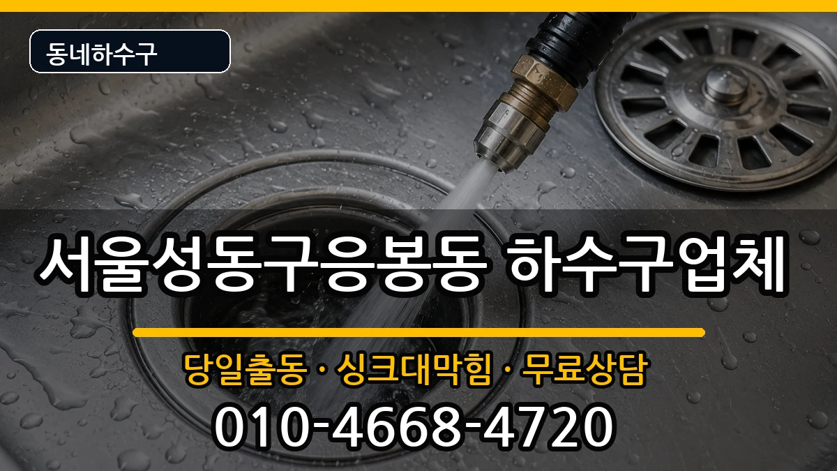 서울성동구응봉동 하수구막힘 서울성동구응봉동 하수구막힘 증상 처리 안내 이미지 3
