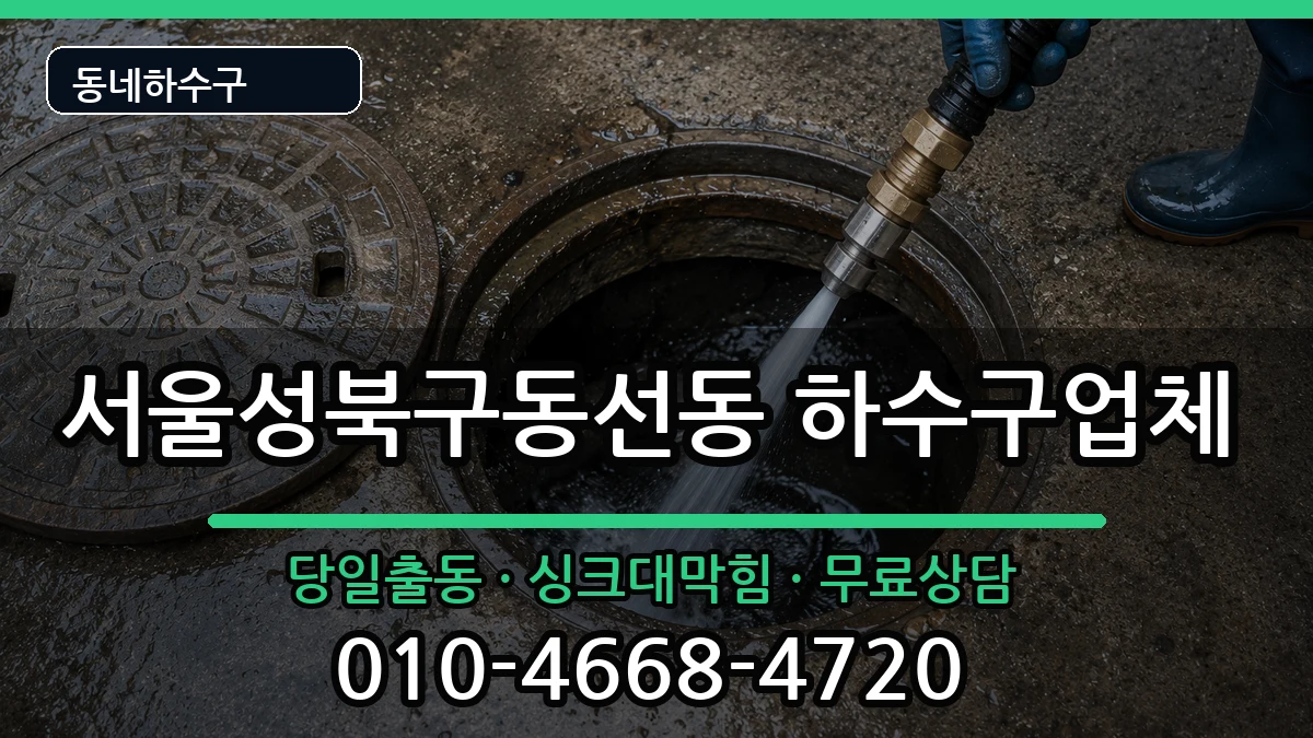 서울성북구동선동 하수구막힘 증상 처리 안내 이미지 2