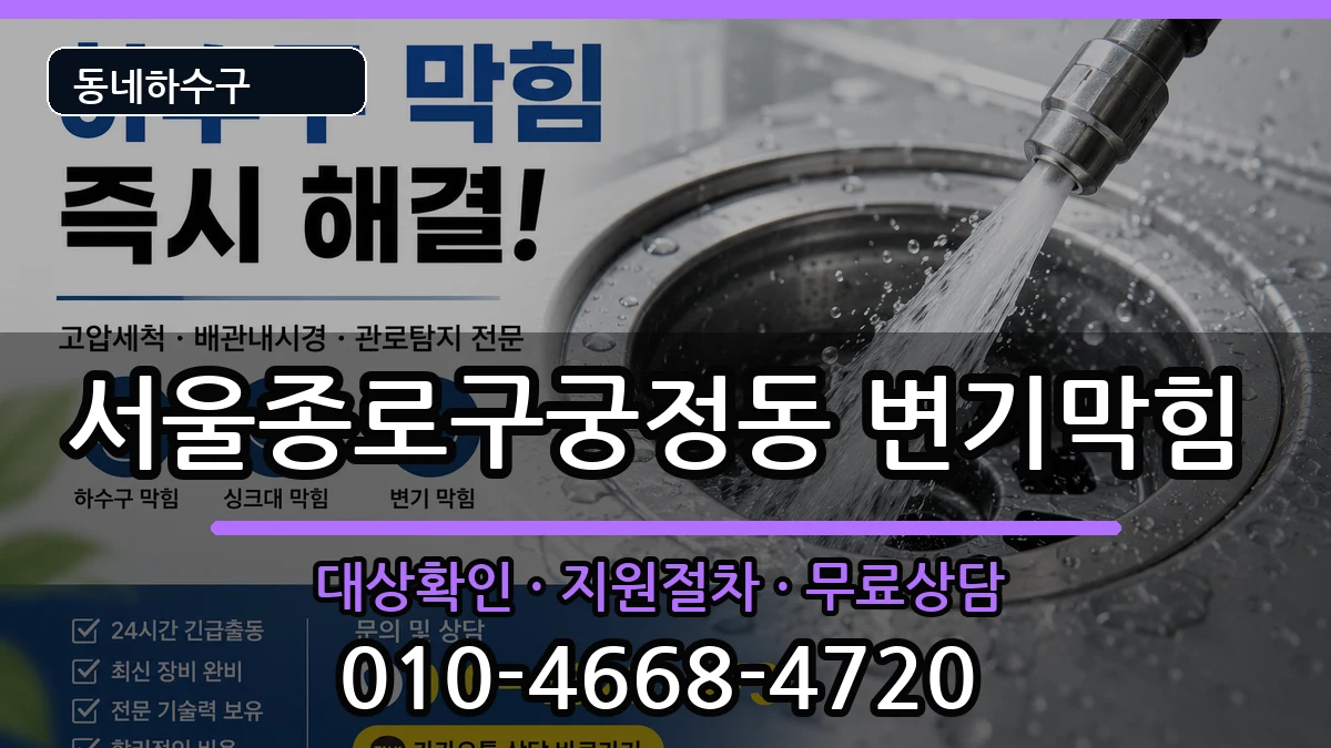 서울종로구궁정동 변기막힘 증상 처리 안내 이미지 3