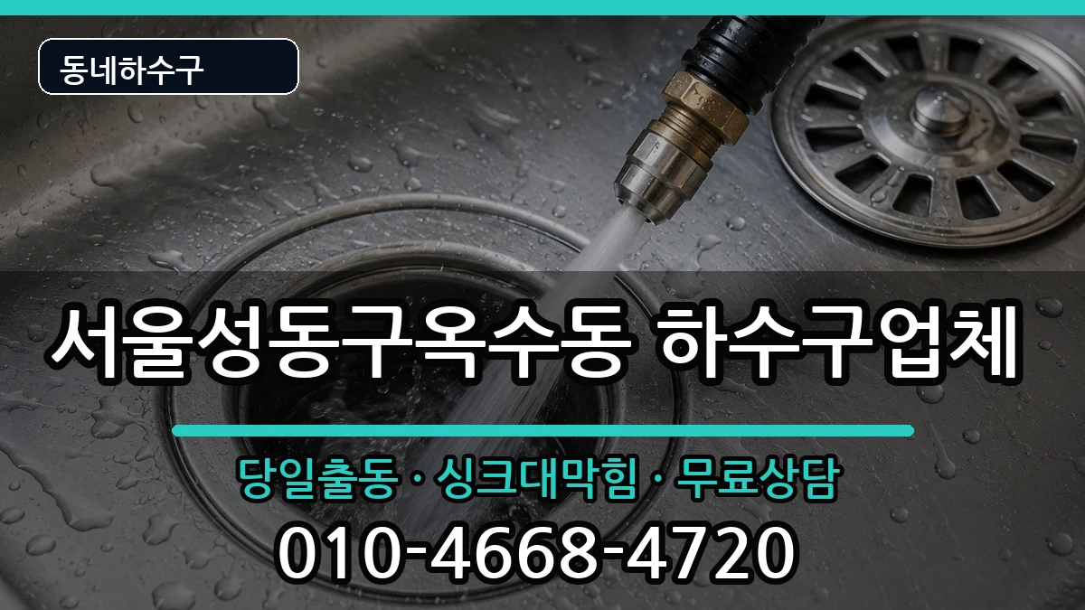 서울성동구옥수동  하수구막힘 비용형