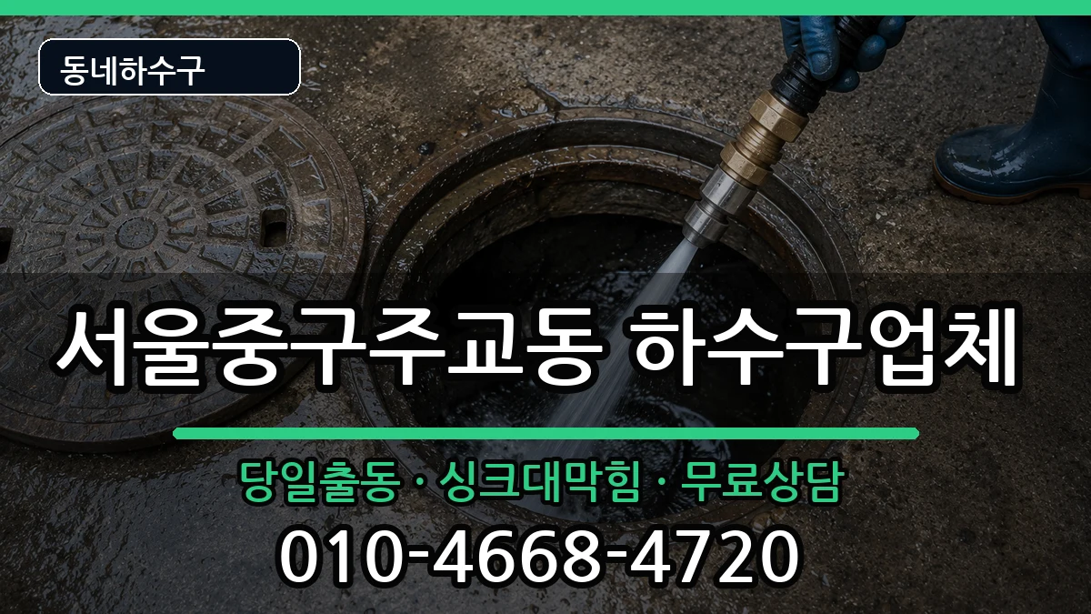 서울중구주교동 하수구막힘 증상 처리 안내 이미지 2