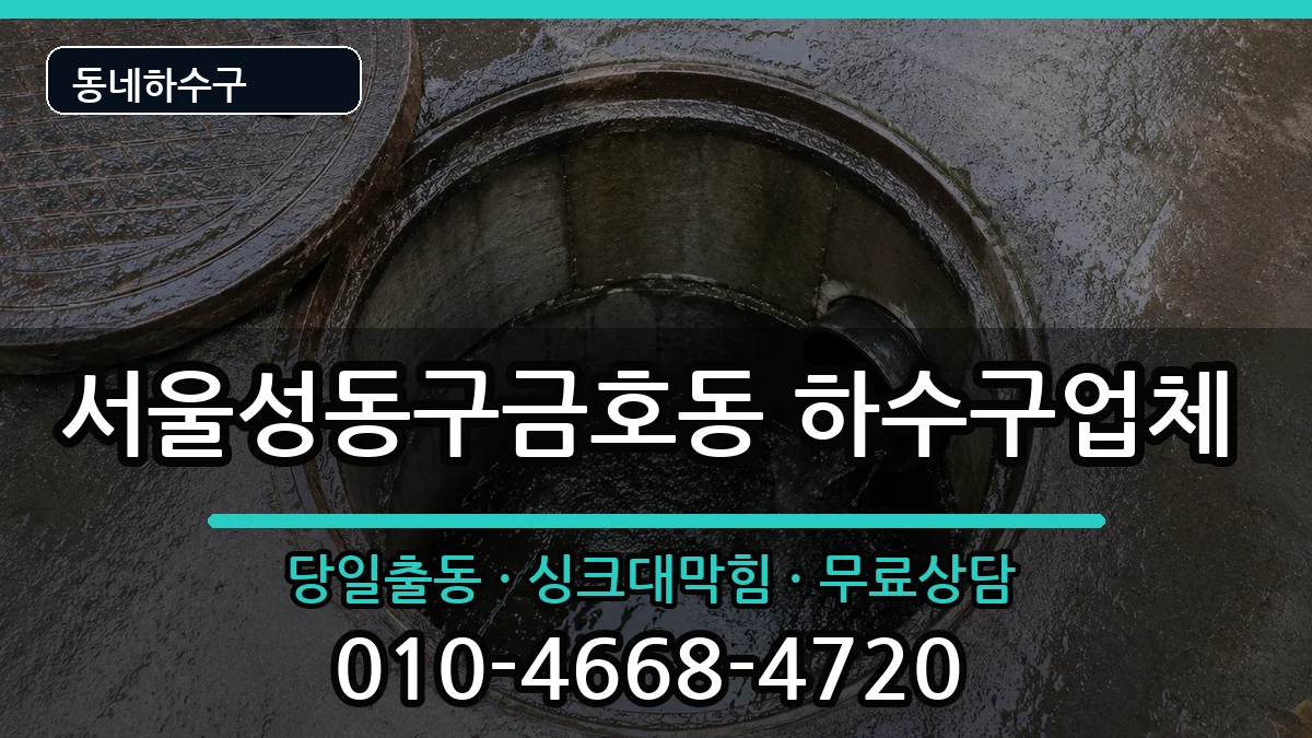 서울성동구금호동 하수구막힘 증상 처리 안내 이미지 2