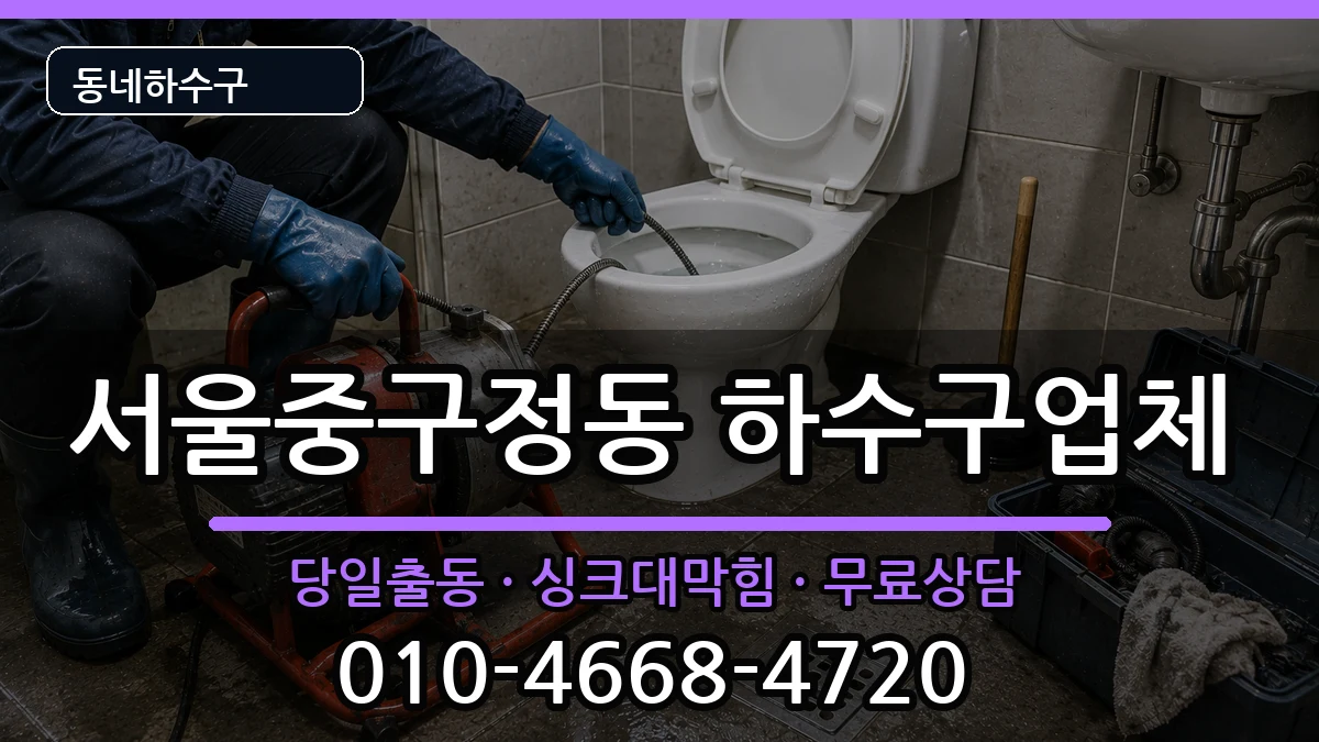 서울중구정동  하수구막힘 비교형