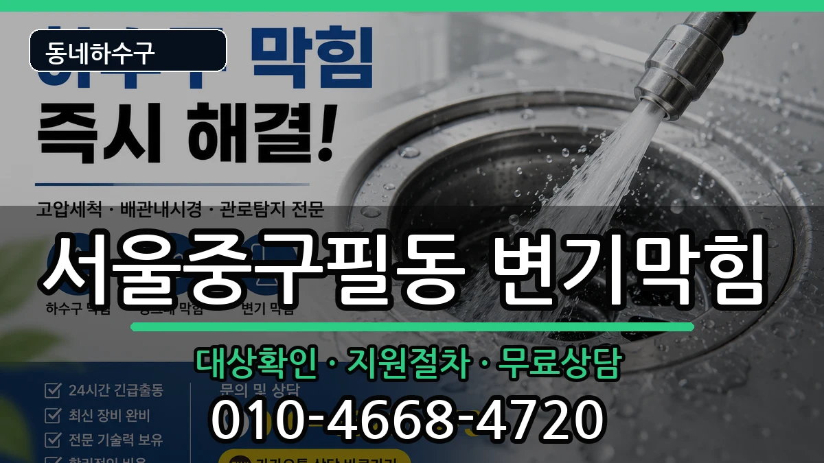 서울중구필동 변기막힘 서울중구필동 변기막힘 증상 처리 안내 이미지 3