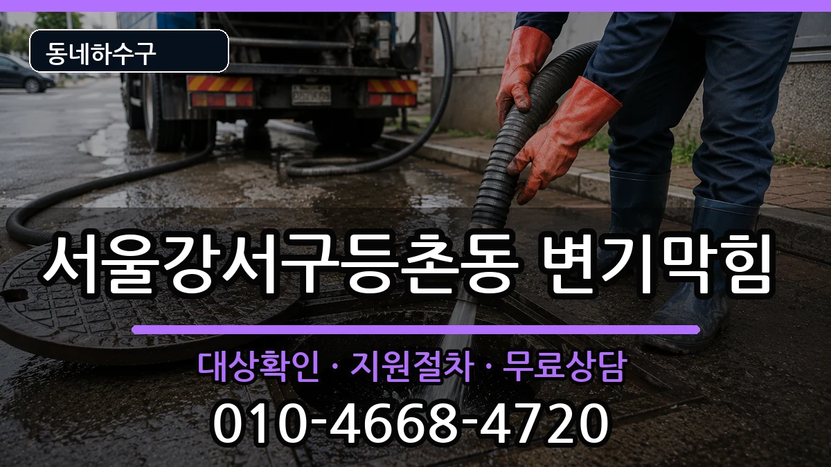 서울강서구등촌동 변기막힘 증상 처리 안내 이미지 3