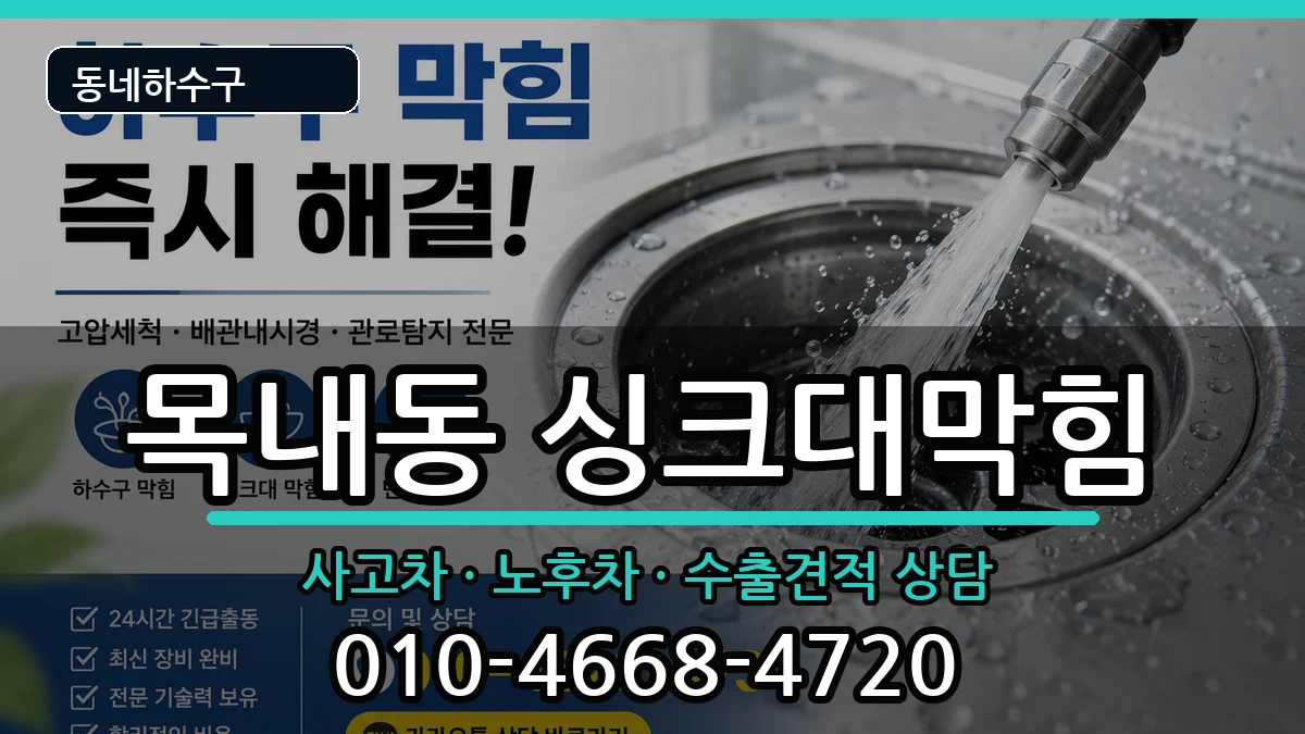 경기안산시단원구목내동 싱크대막힘 증상 처리 안내 이미지 2