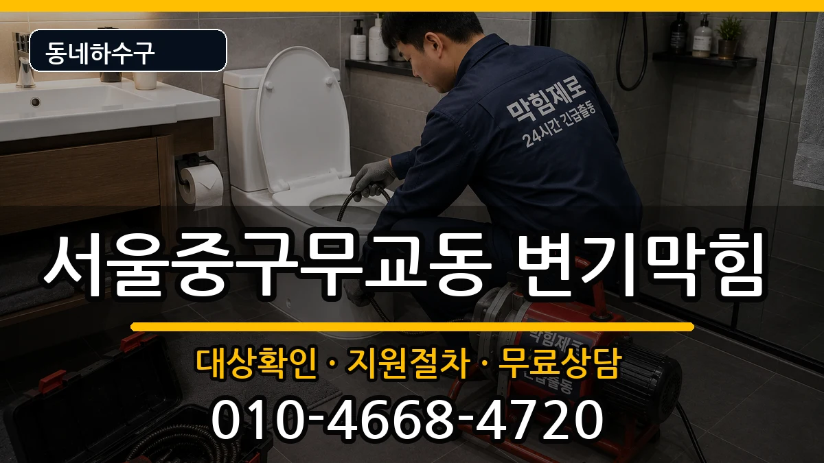 서울중구무교동 변기막힘 증상 처리 안내 이미지 2