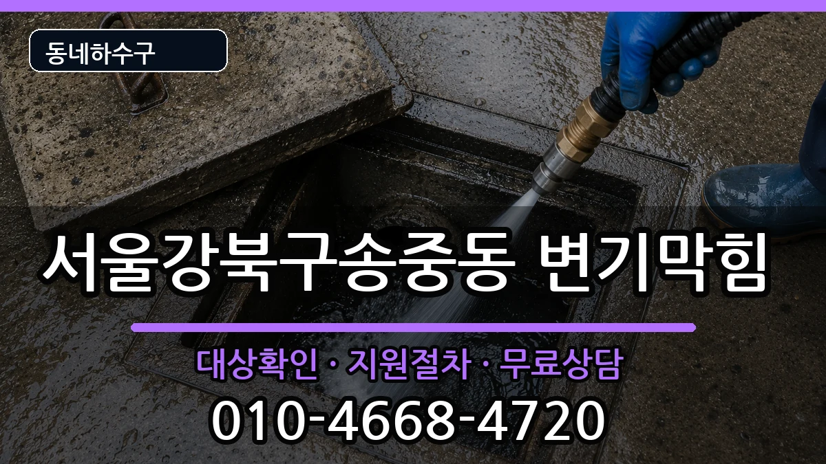 서울강북구송중동 변기막힘 증상 처리 안내 이미지 1
