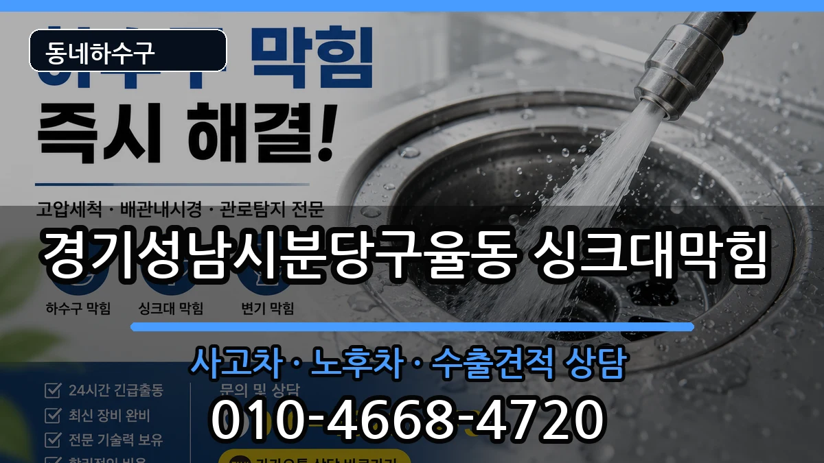 경기성남시분당구율동 싱크대막힘 증상 처리 안내 이미지 1