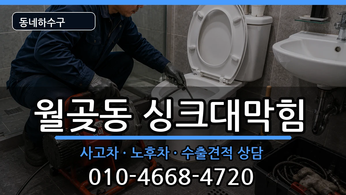 경기시흥시월곶동 싱크대막힘 경기시흥시월곶동 싱크대막힘 증상 처리 안내 이미지 3