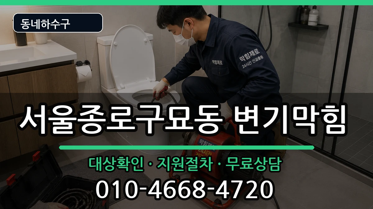 서울종로구묘동 변기막힘 서울종로구묘동 변기막힘 증상 처리 안내 이미지 3
