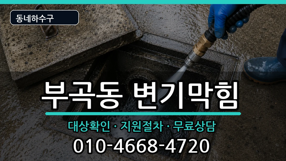 경기안산시상록구부곡동 변기막힘 경기안산시상록구부곡동 변기막힘 증상 처리 안내 이미지 1