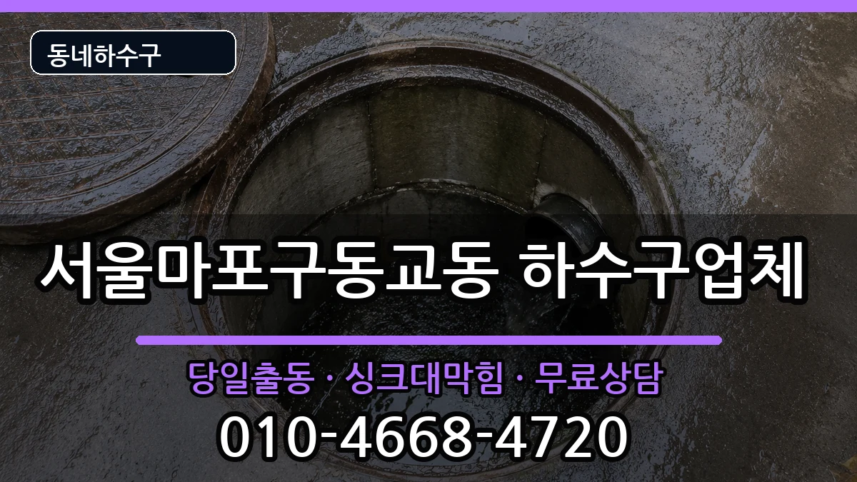 서울마포구동교동 하수구막힘 증상 처리 안내 이미지 3