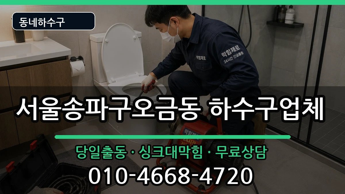 서울송파구오금동  하수구막힘 사례형