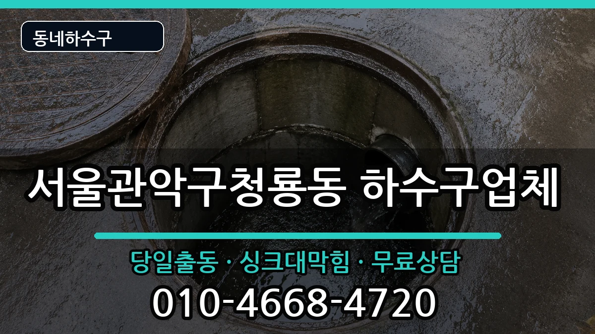 서울관악구청룡동 하수구막힘 증상 처리 안내 이미지 3