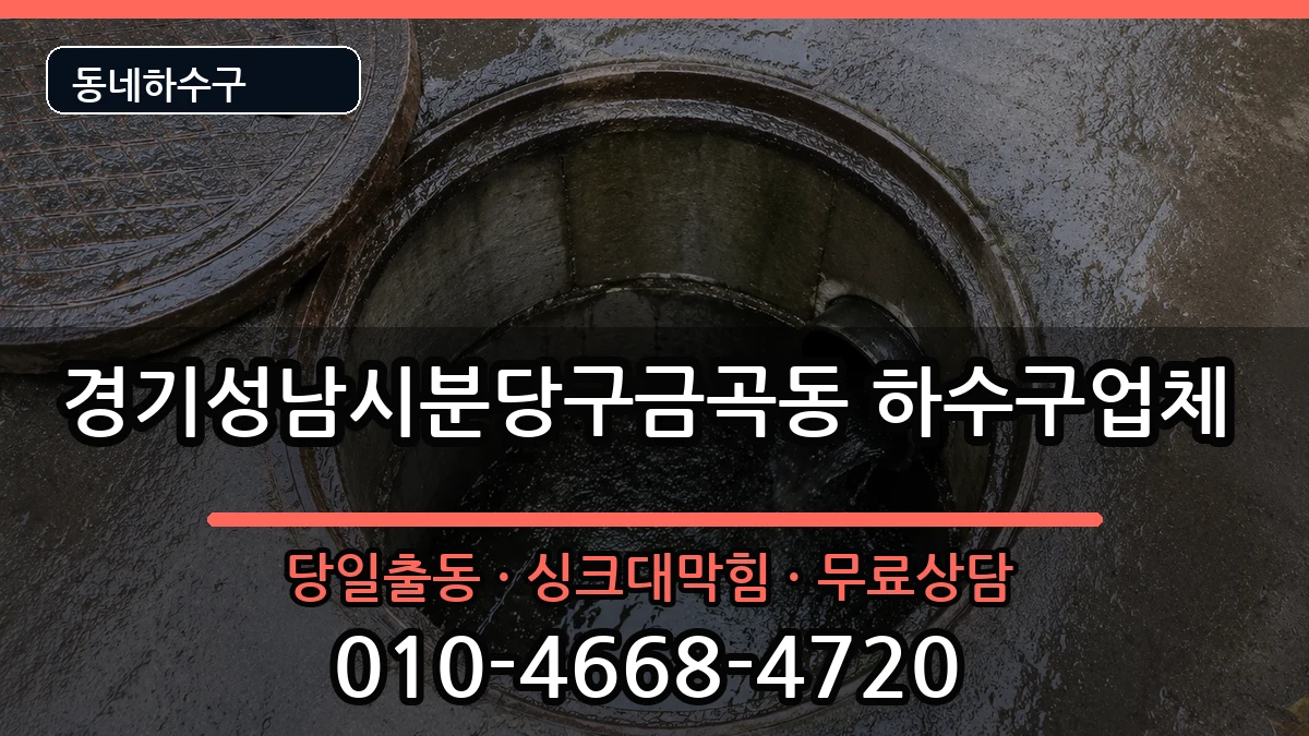 경기성남시분당구금곡동 하수구막힘 경기성남시분당구금곡동 하수구막힘 증상 처리 안내 이미지 3