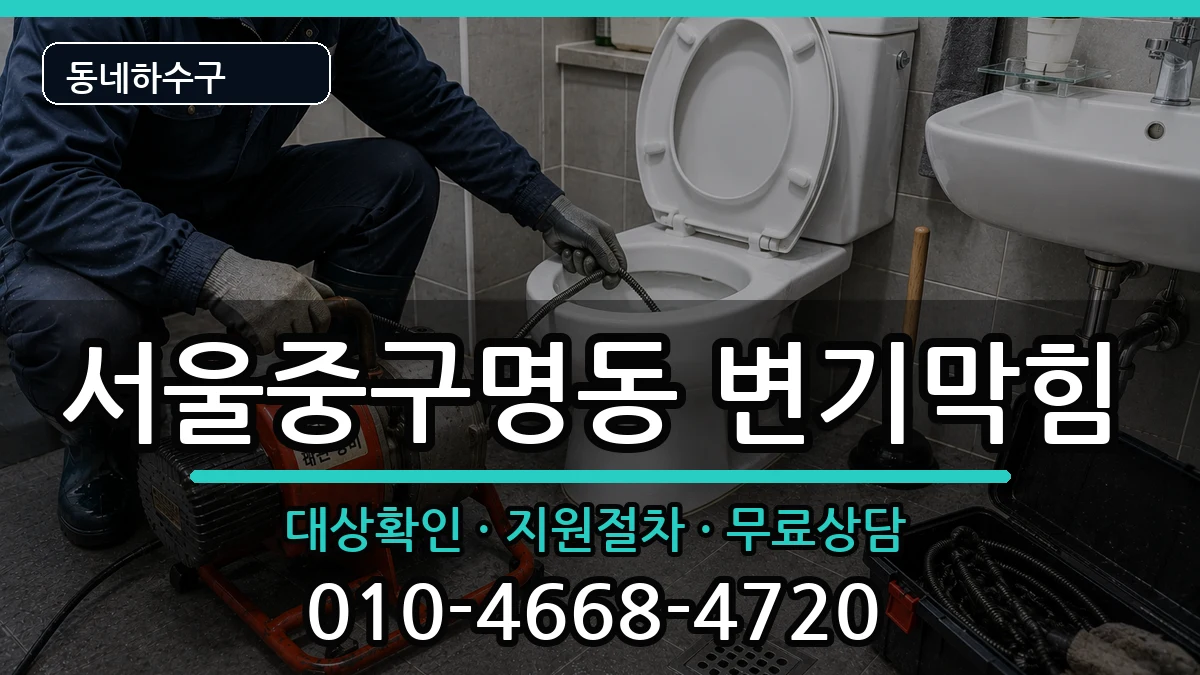 서울중구명동 변기막힘 증상 처리 안내 이미지 2