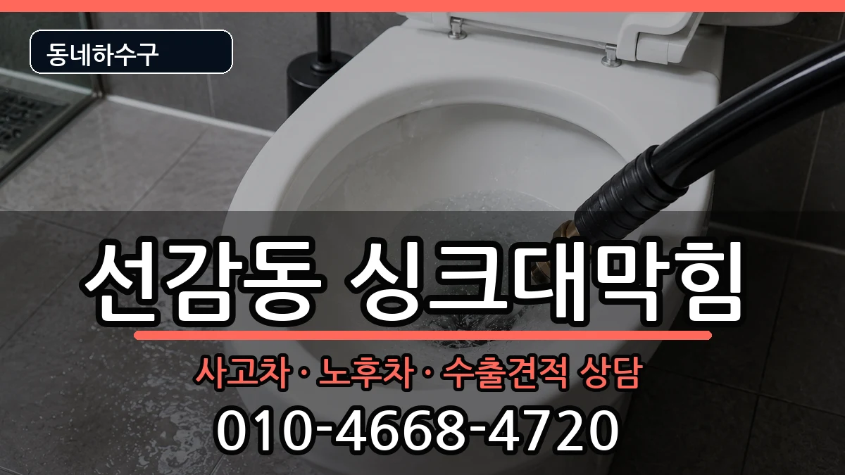 경기안산시단원구선감동 싱크대막힘 증상 처리 안내 이미지 3
