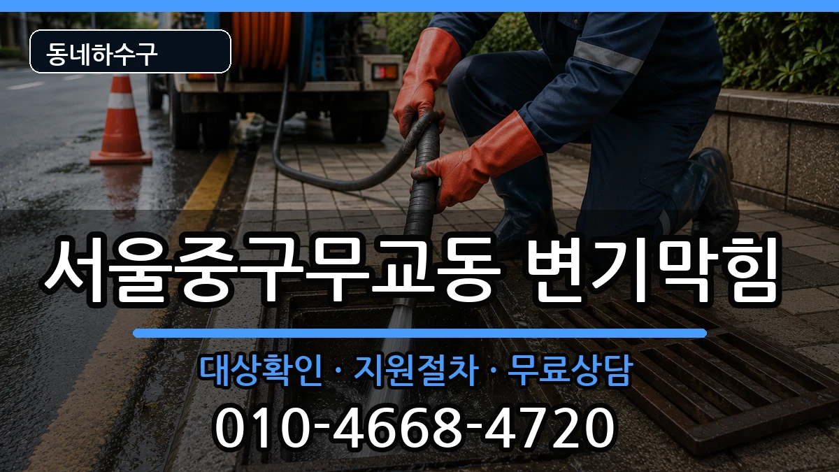 서울중구무교동 변기막힘 증상 처리 안내 이미지 3
