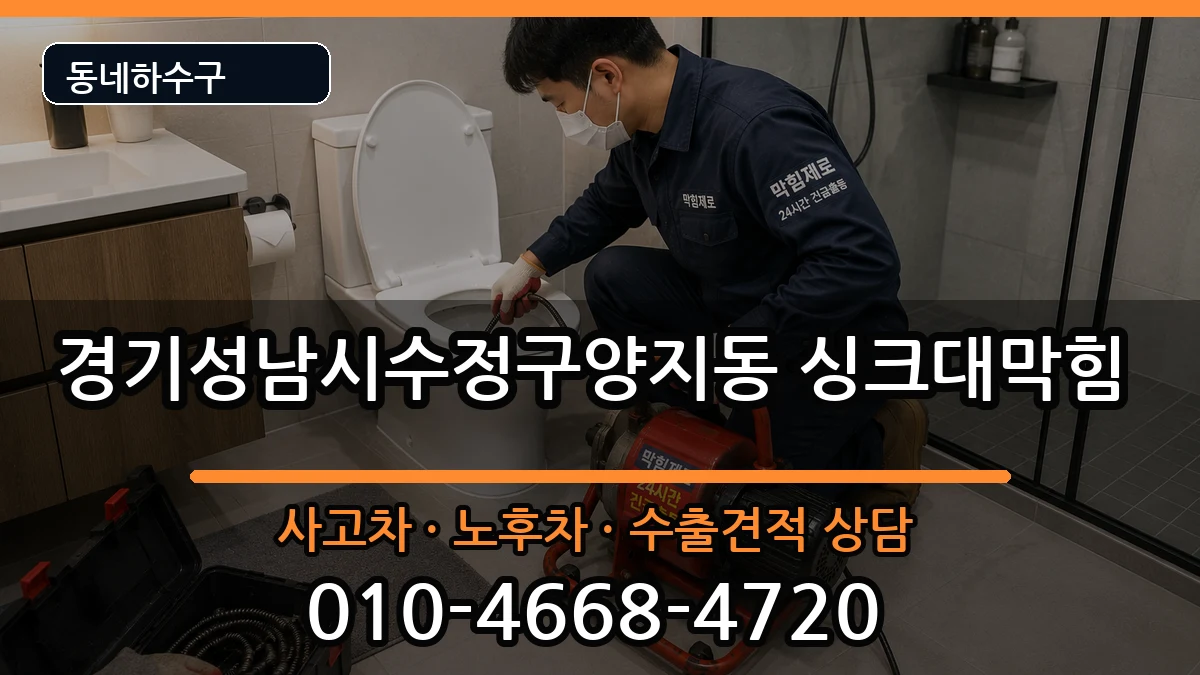 경기성남시수정구양지동 싱크대막힘 증상 처리 안내 이미지 3