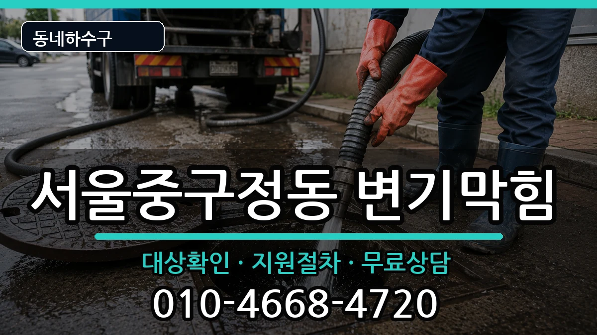 서울중구정동 변기막힘 증상 처리 안내 이미지 3
