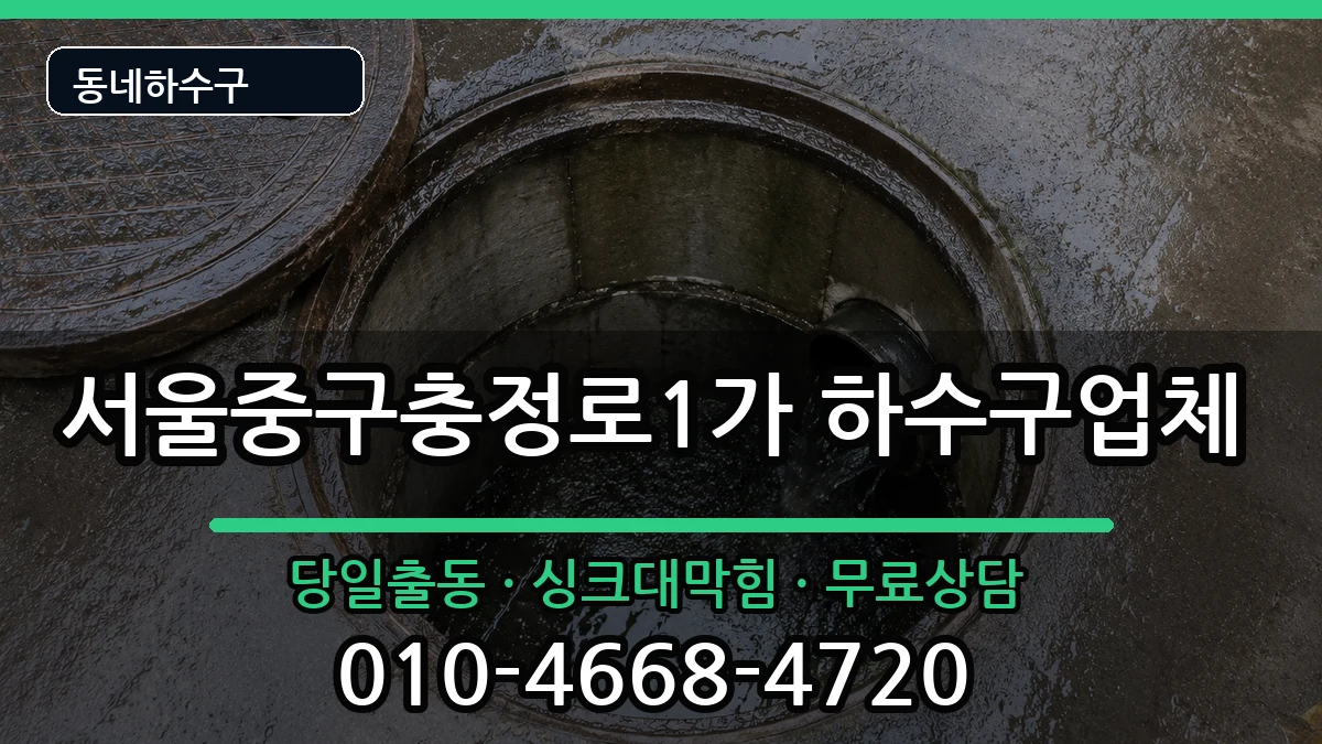 서울중구충정로1가 하수구막힘 증상 처리 안내 이미지 1